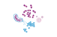 浙江湖州匯合生物科技有限公司_生物農(nóng)業(yè)